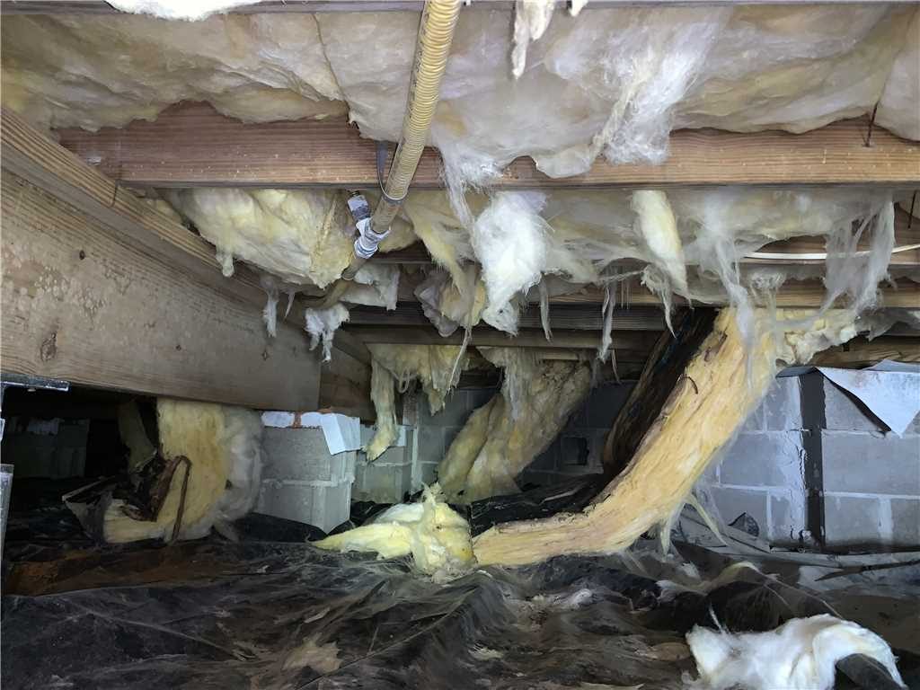 Isolant décroché sous le plancher : matelas tombés, solives à nu.